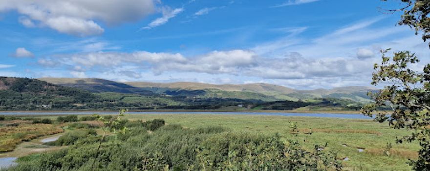 RSPB Ynys-hir