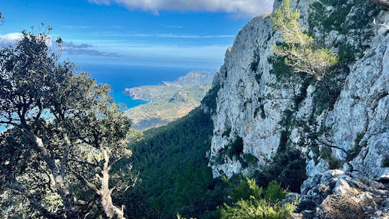 Camí de s'Arxiduc