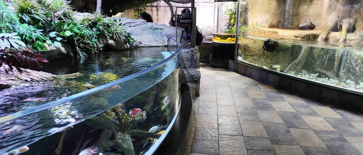 4_杜拜水族館和水下動物園