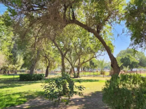 Popular Spring Outings in Baghdad