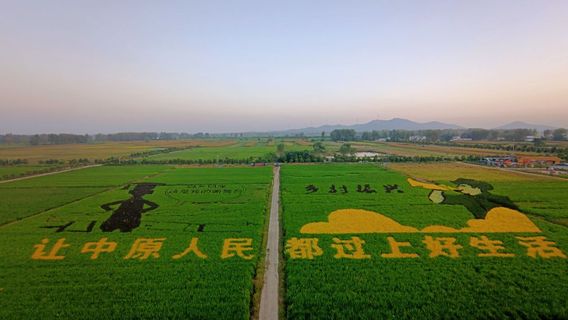 liu zhuang dao tian gong yuan