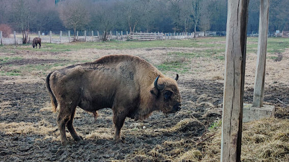 Bison Nature Reserve