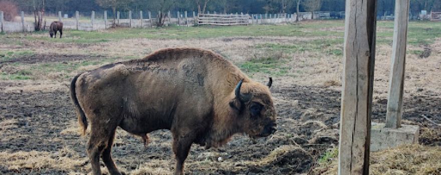 Bison Nature Reserve