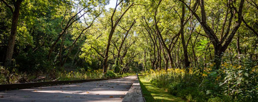 Lake Atalanta Park & Trails
