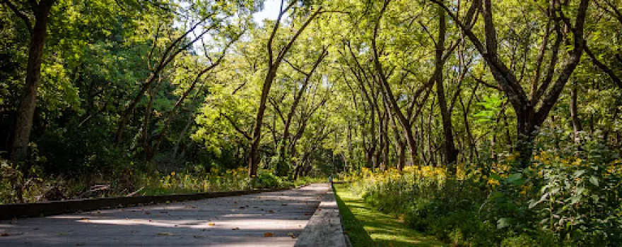 Lake Atalanta Park & Trails
