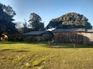 Camping dos Pinheirais