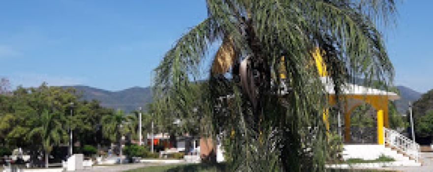 Placita Garden
