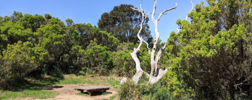 Cape Otway GOW Campsite