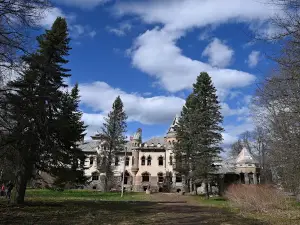 Manor AG Eliseev