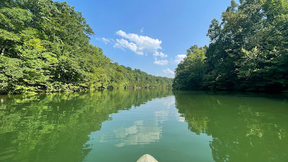 Hickman County