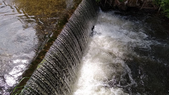 José Luis Castro Agrasar Park