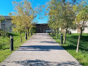 Vaso Katraki Museum - Engraving & Printmaking Arts Center