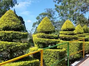 Munnar Rose Garden
