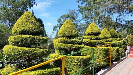 Munnar Rose Garden