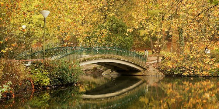 Rombergpark Botanical Garden