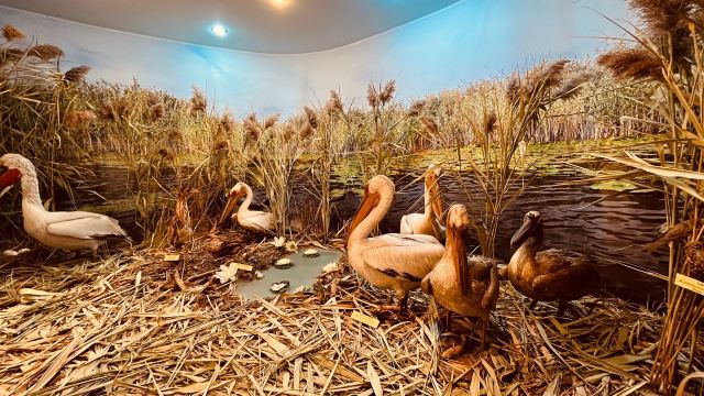 "The Danube Delta" Museum of Ecotourism