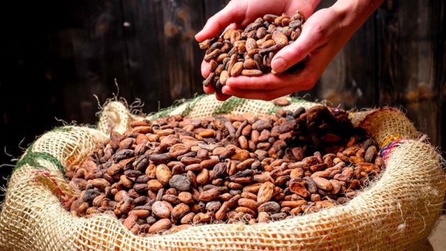 CHOCOVERSUM by HACHEZ - Hamburgs Schokoladenmuseum