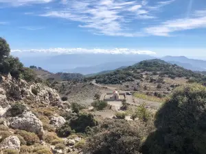 Safari Club Crete