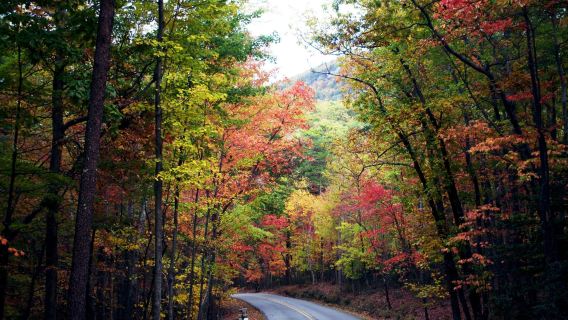 Hanging Rock State Park