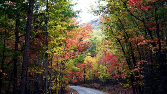 Hanging Rock State Park