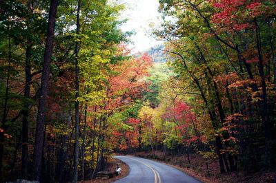 Hanging Rock State Park
