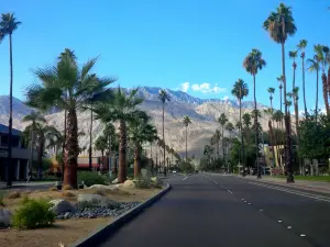 Palm Canyon Drive