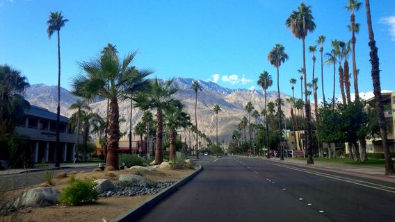 Palm Canyon Drive