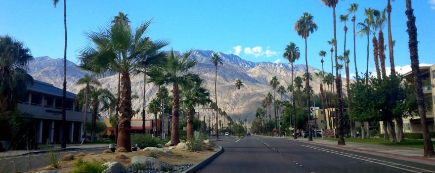 Palm Canyon Drive