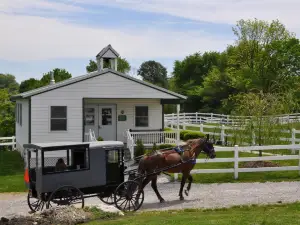 Amish Farm and House