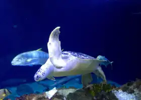 SEA LIFE Speyer