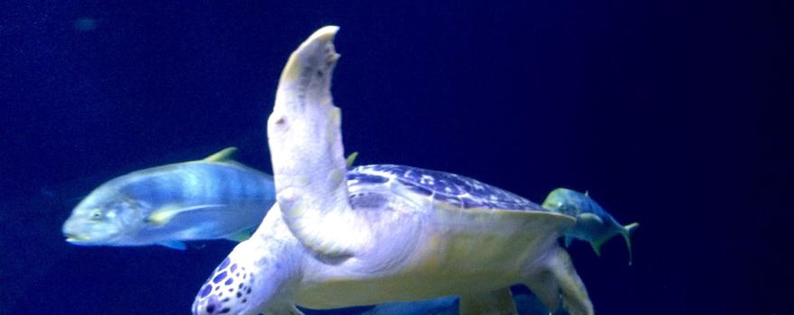 SEA LIFE Speyer