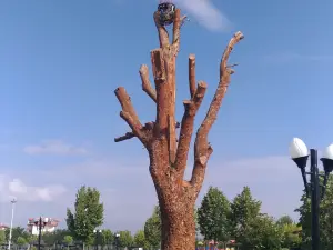 Olimpiyat Parki