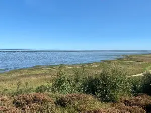 Morsum-Kliff