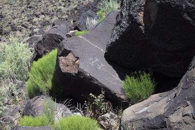 Petroglyph National Monument