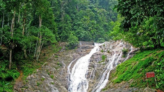 Thompson Falls