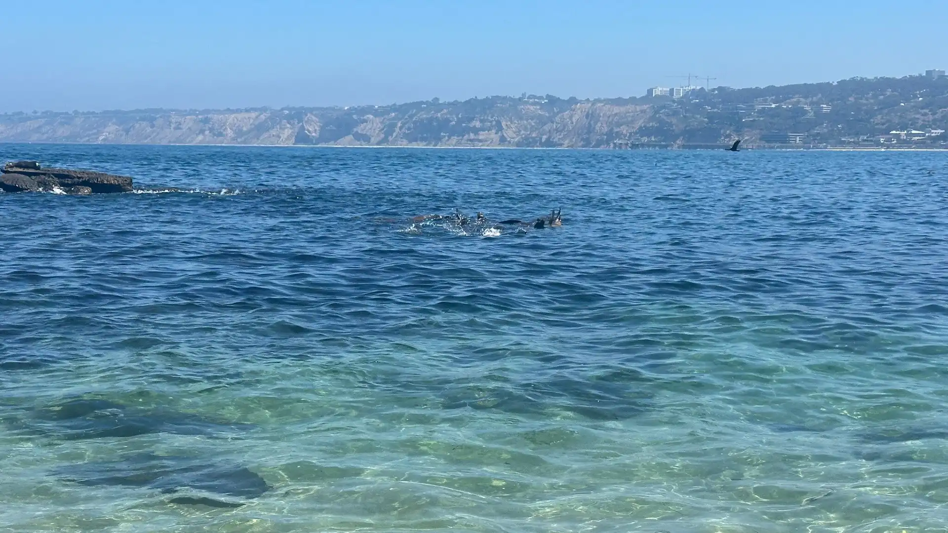 Hotels near Children's Pool La Jolla