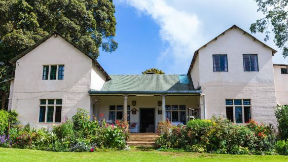 Kiambethu Tea Farm