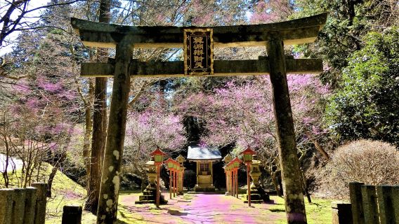 日本滋賀縣+比叡山+舊竹林院庭園+美秀美術館一日遊|上門接送