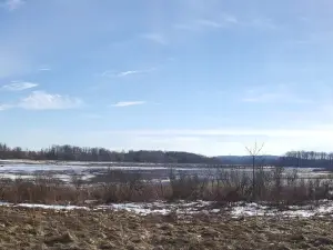 Laurel Creek Conservation Area