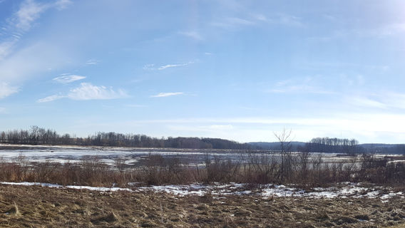 Laurel Creek Conservation Area