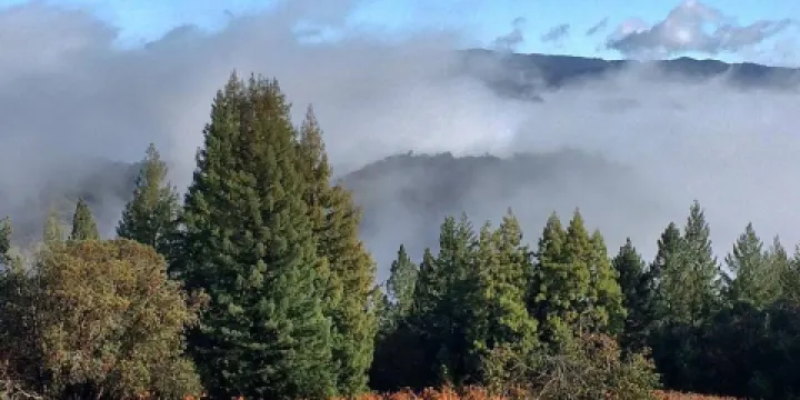 Lagier Meredith Vineyard