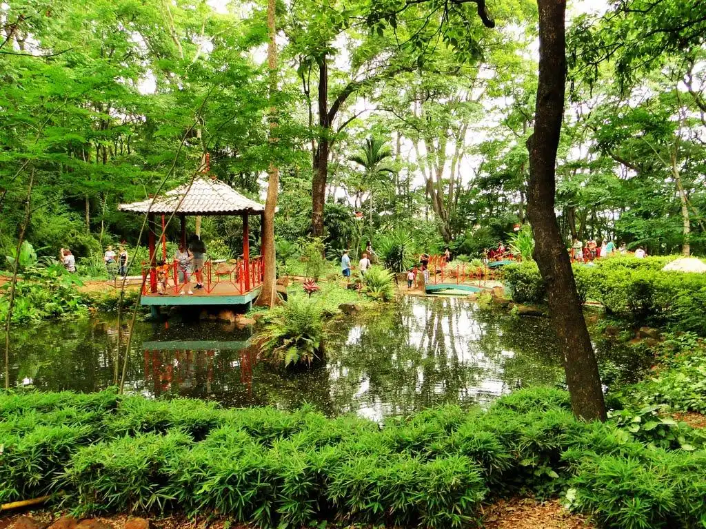 Hotels near Japanese Garden