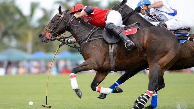 National Polo Center