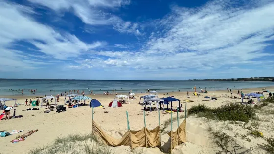 Point Leo Beach