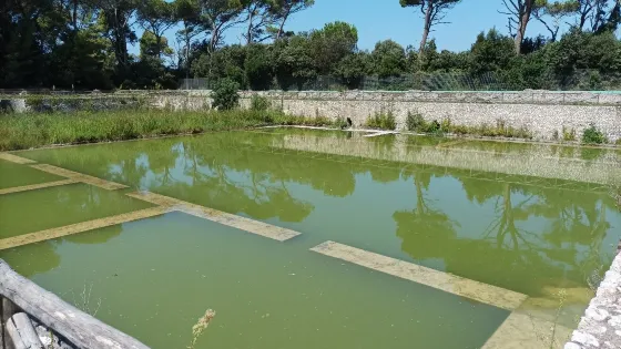 Villa di Domiziano