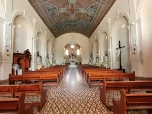 Igreja Matriz Sao Luiz de Toloza