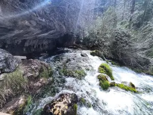 Nacimiento Del Rio Cuervo