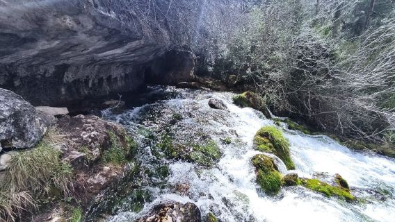 Nacimiento Del Rio Cuervo