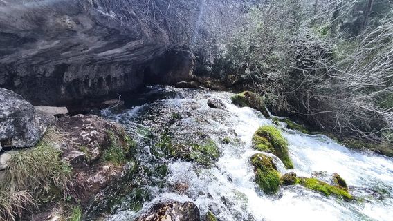 Nacimiento Del Rio Cuervo