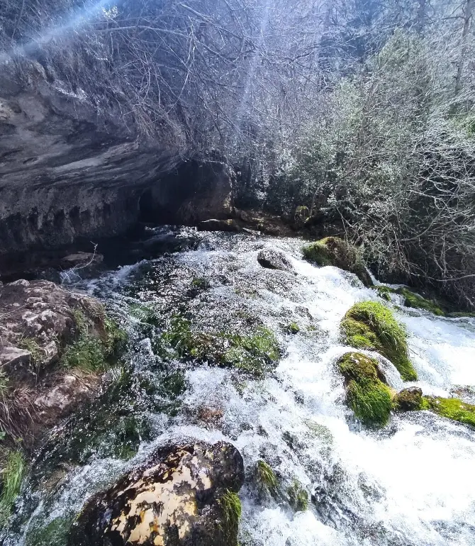 Vega del Codorno